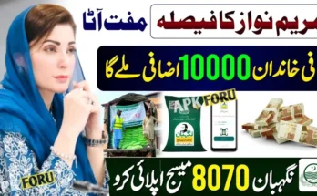 CM Punjab Asaan Karobar