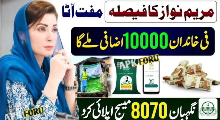 CM Punjab Asaan Karobar